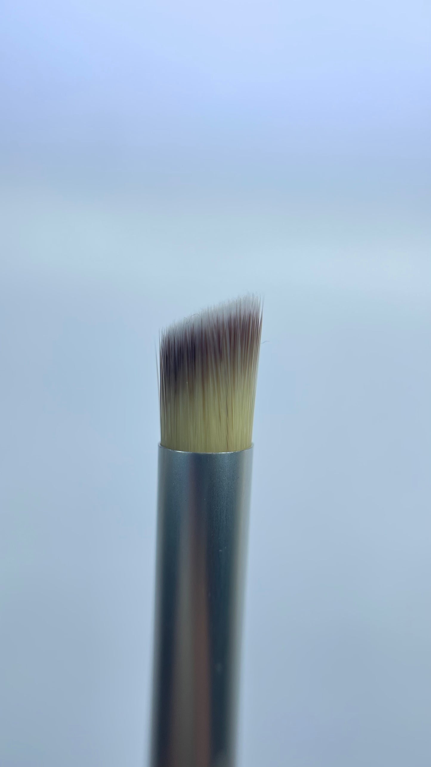 Nail Art Brush Gradient/Ombre