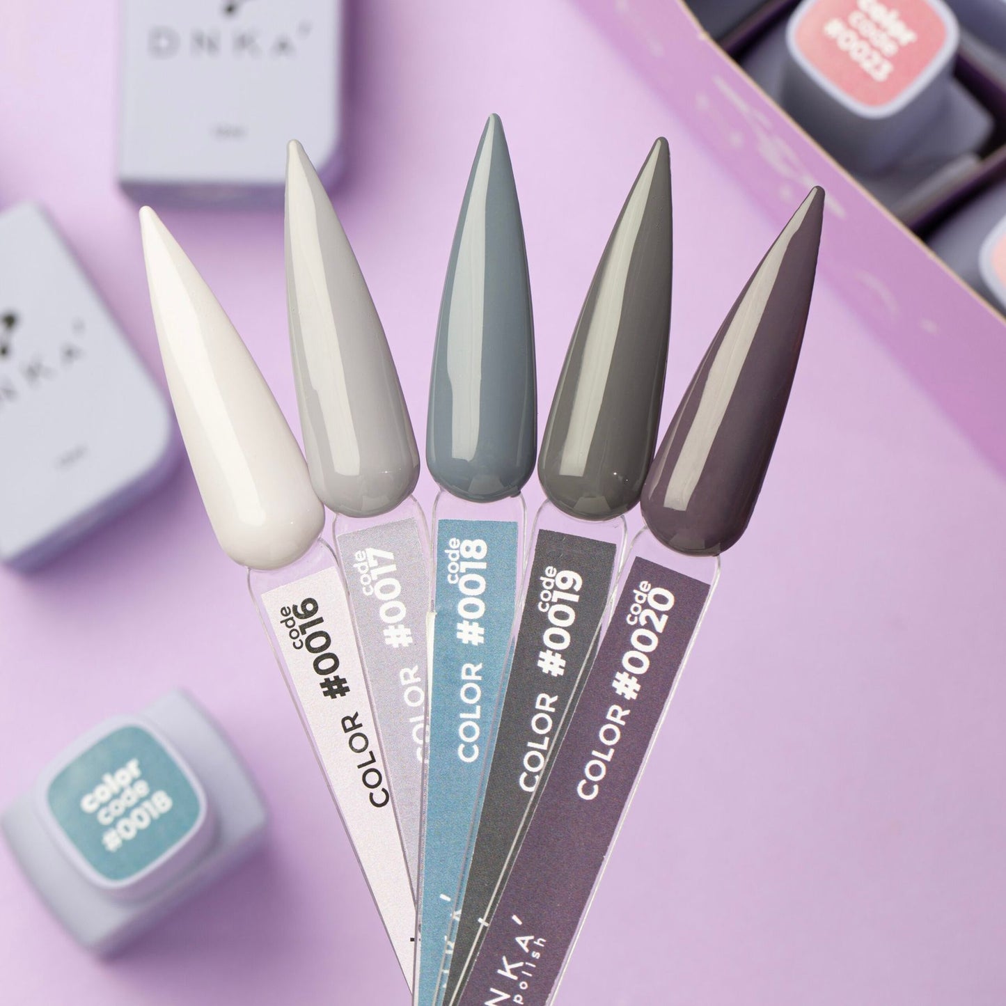 DNKa' COLOR GEL POLISH 12 ml #0017