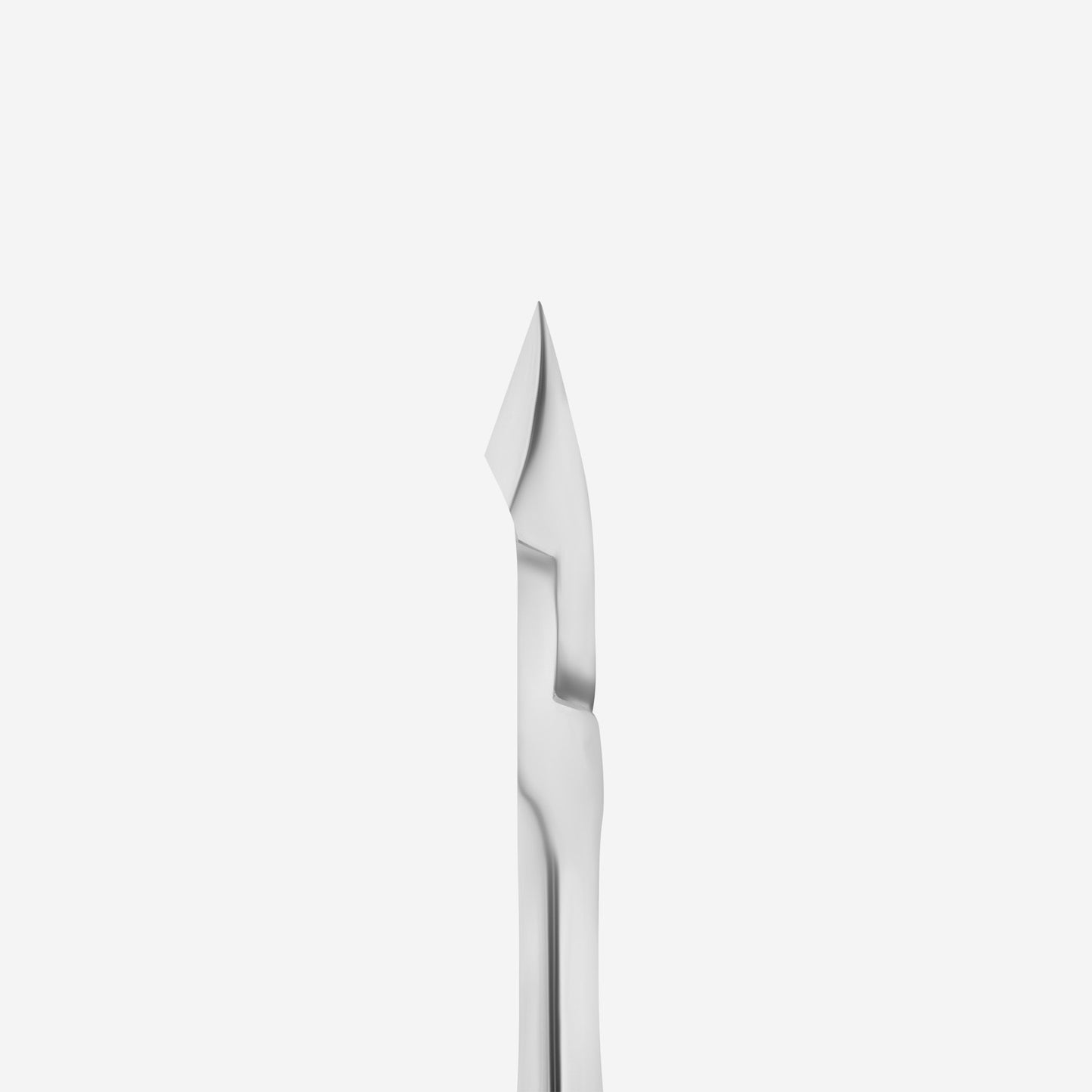 PROFESSIONAL CUTICLE NIPPERS STALEKS PRO EXPERT 21 (10mm)