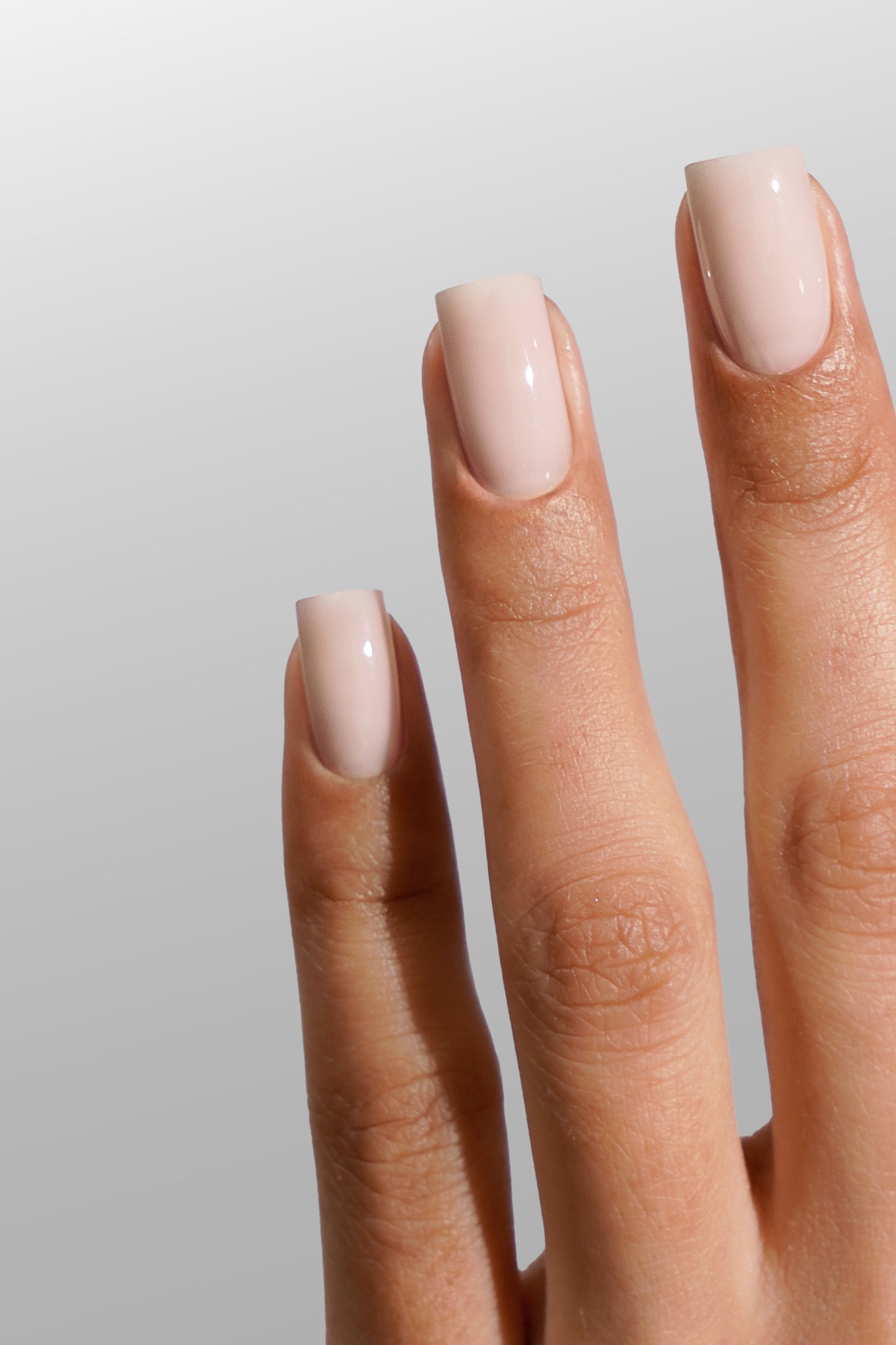 COLOUR COLLECTIONS: LUXIO® F/W 2025 "FEMININITY" NEW