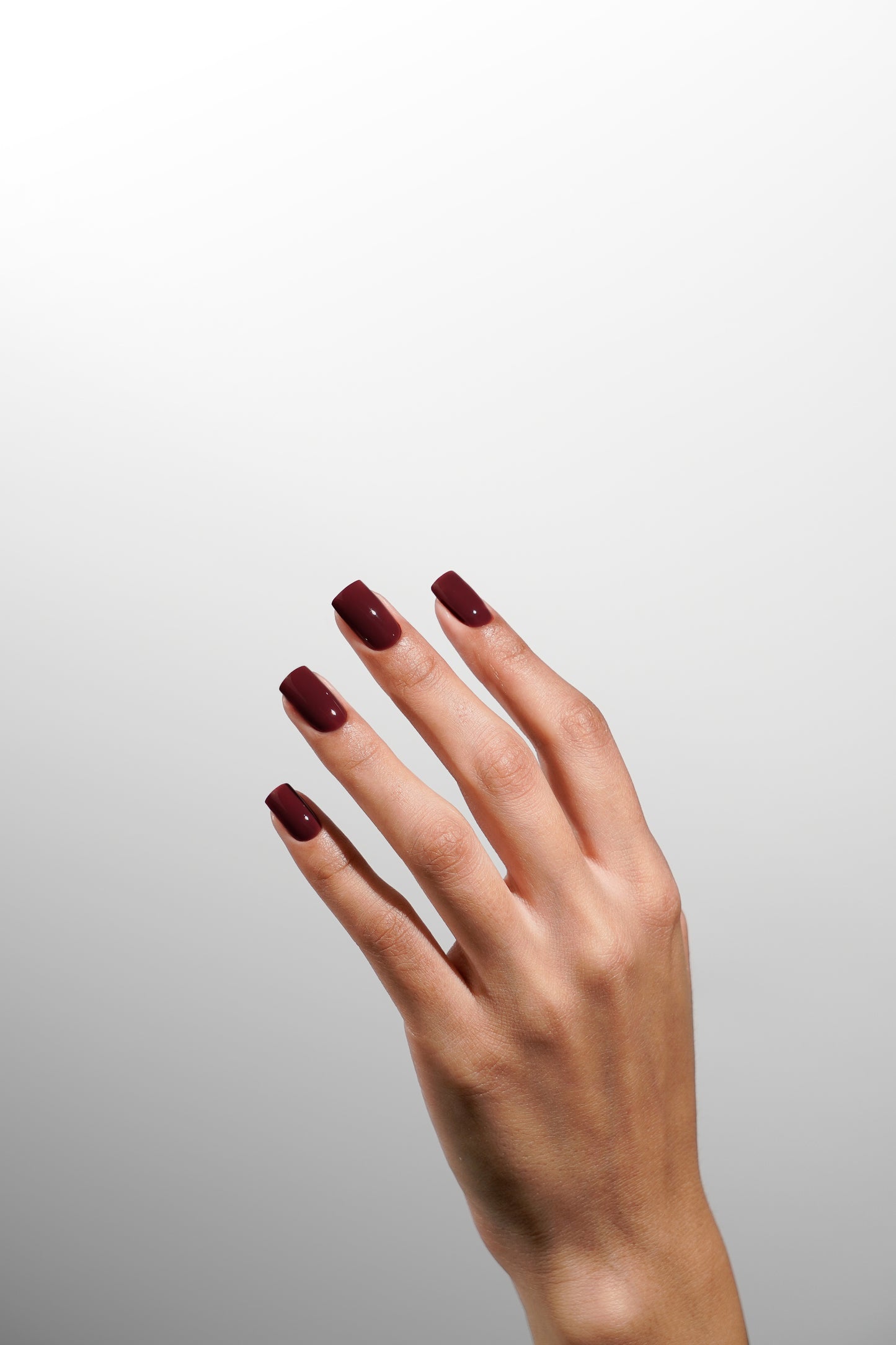 COLOUR COLLECTIONS: LUXIO® F/W 2025 "FEMININITY" NEW