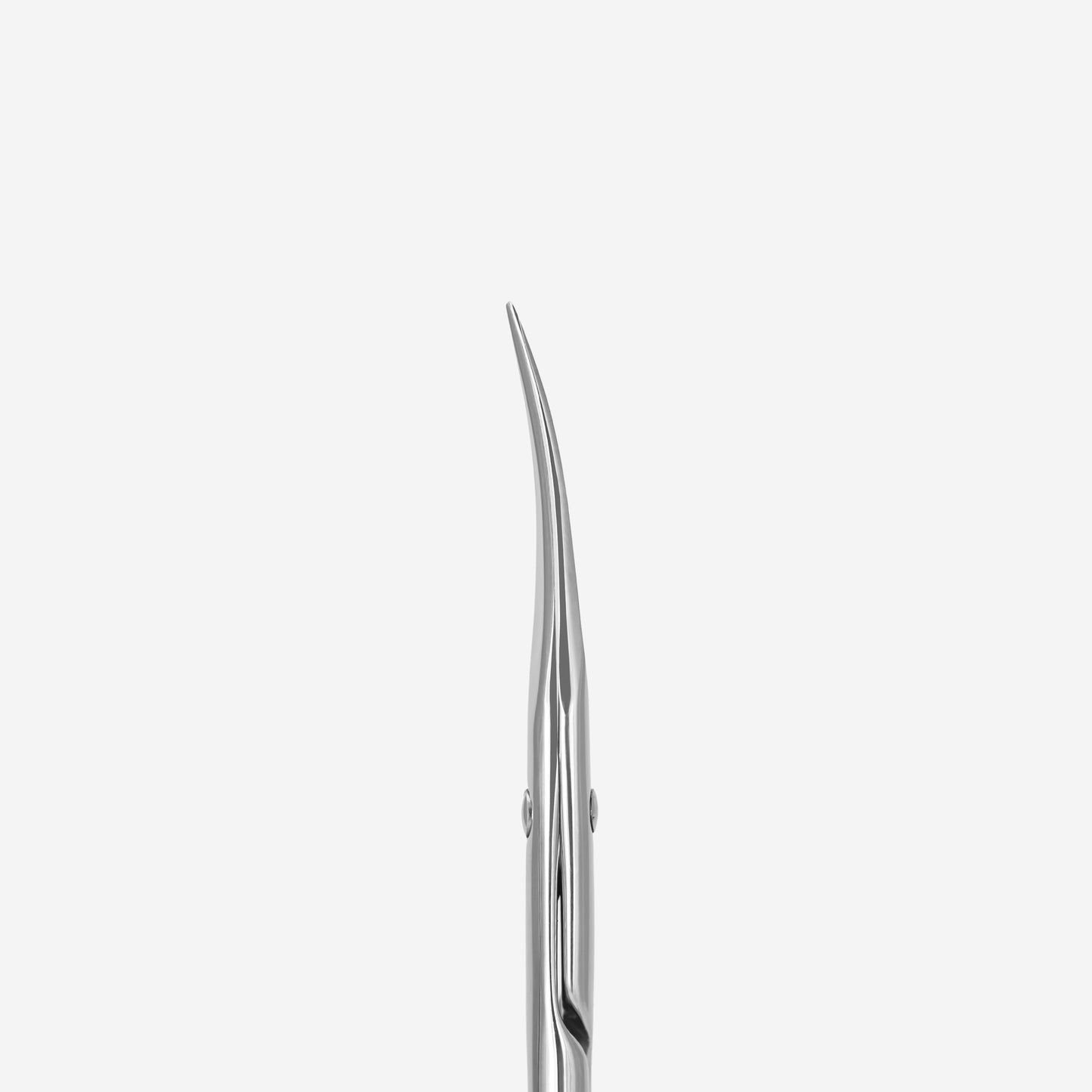 PROFESSIONAL CUTICLE SCISSORS STALEKS PRO EXCLUSIVE 20 TYPE 2