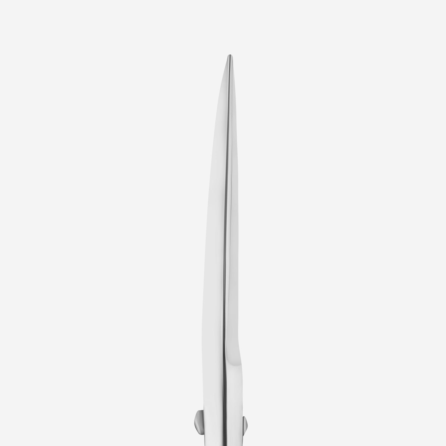 PROFESSIONAL SCISSORS FOR EYEBROWS MODELING EXPERT 30 TYPE 1