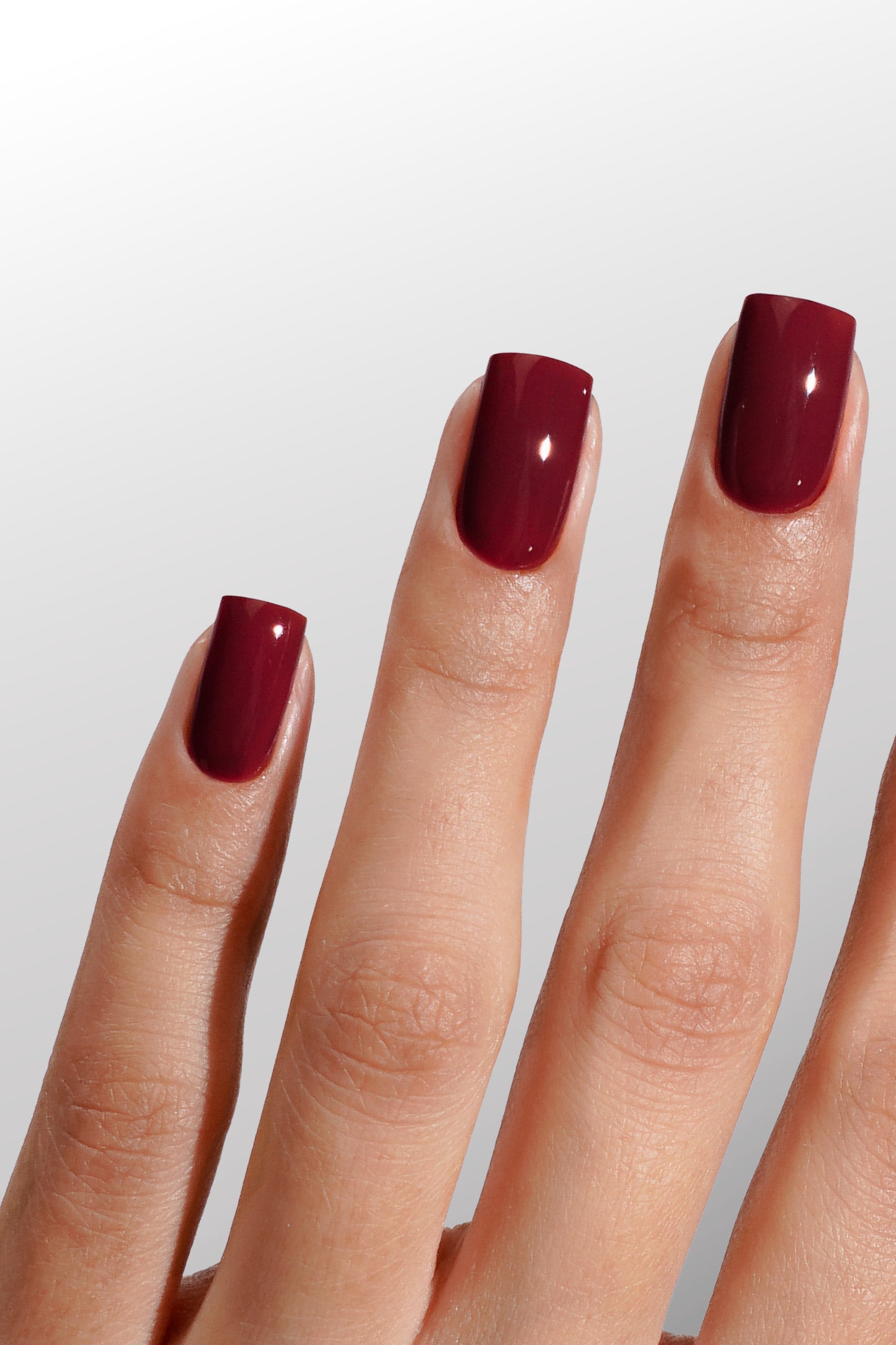 COLOUR COLLECTIONS: LUXIO® F/W 2025 "FEMININITY" NEW