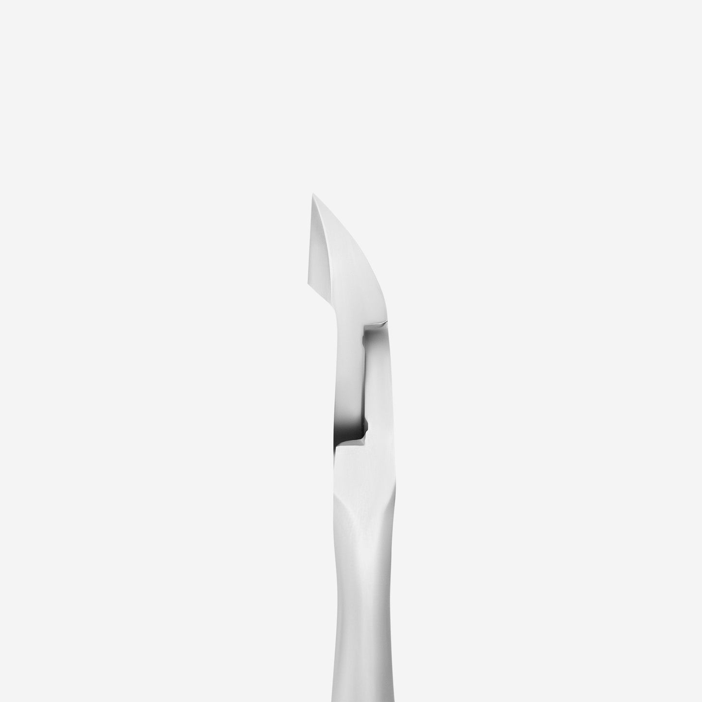 PROFESSIONAL CUTICLE NIPPERS STALEKS PRO EXPERT 10 (9mm)