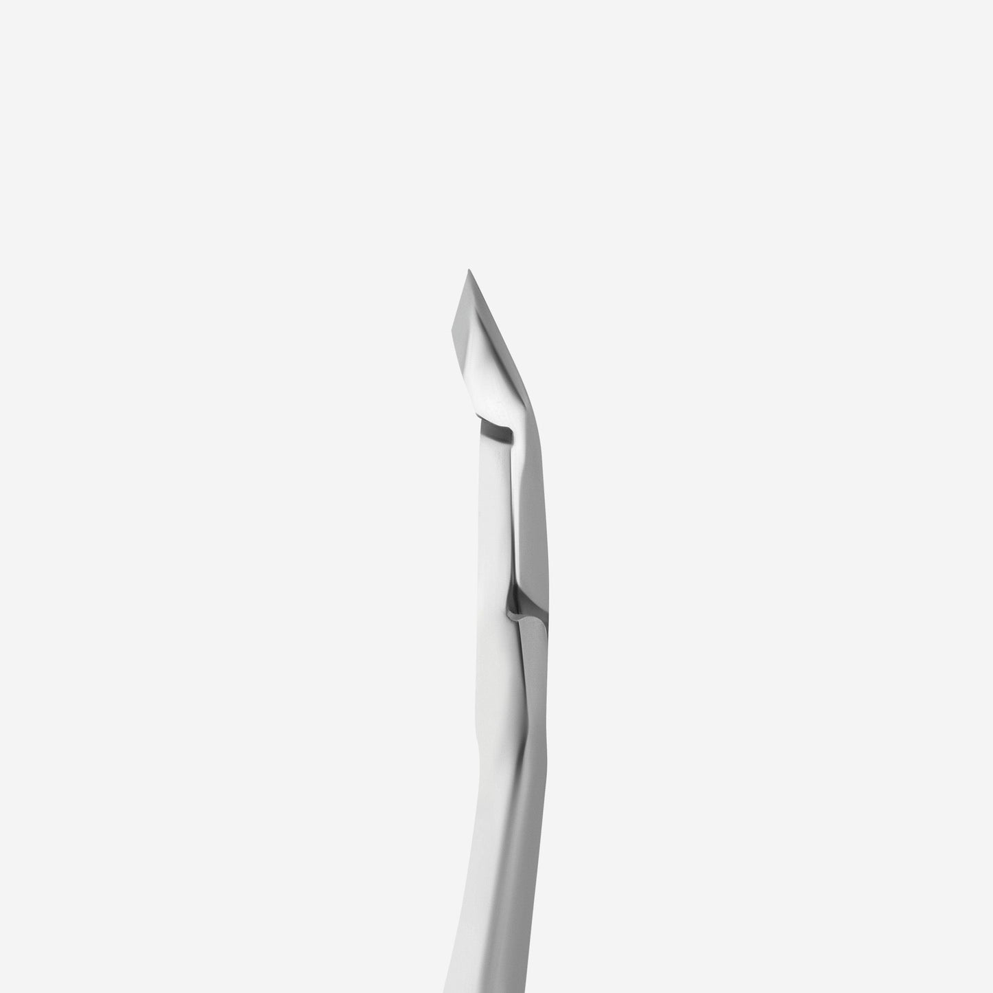 PROFESSIONAL CUTICLE NIPPERS STALEKS PRO EXPERT 81 (6mm)
