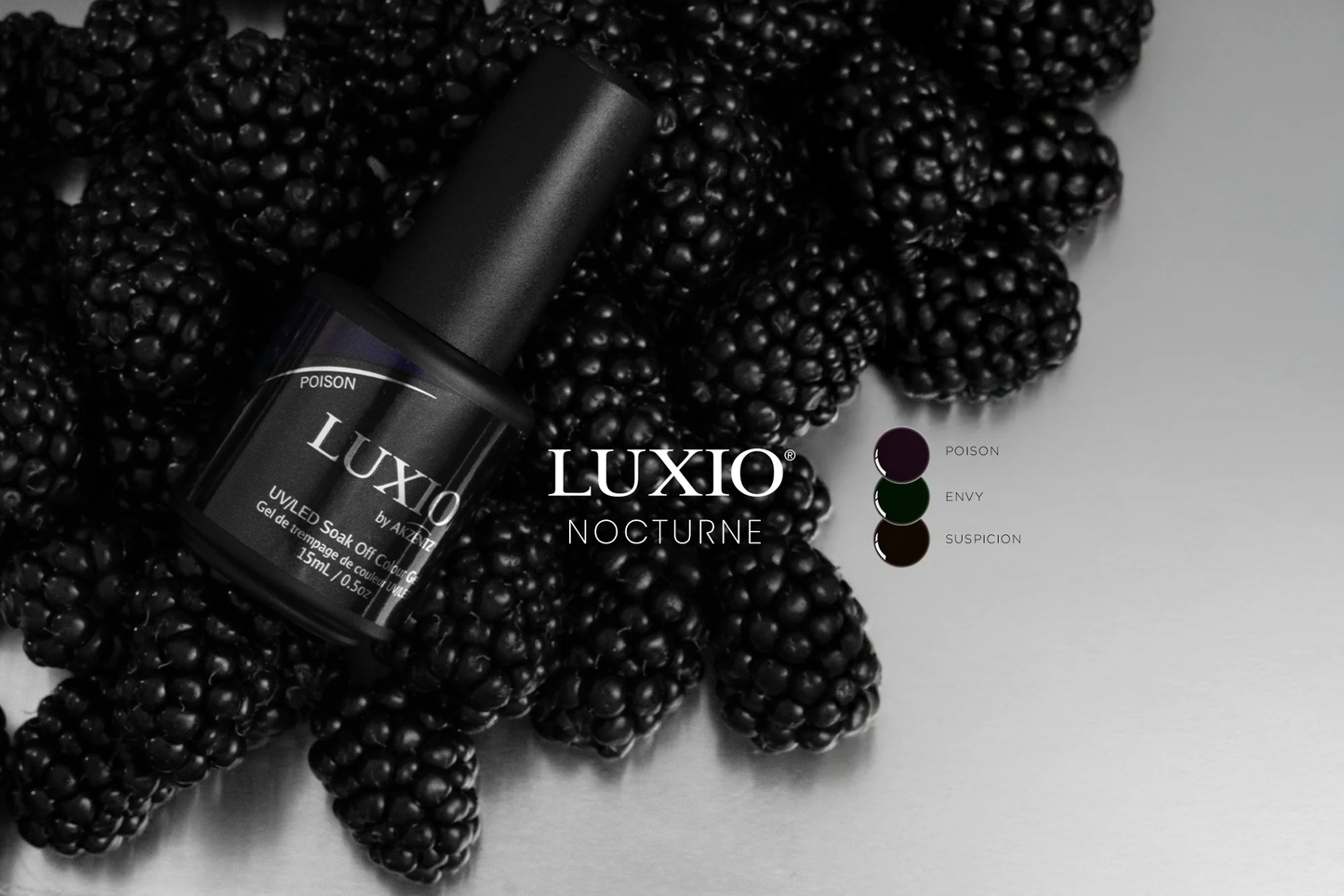 COLOUR COLLECTIONS: LUXIO® STUDIO 14 WINTER 2025 "NOCTURNE" NEW TPO-Free