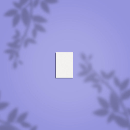 WHITE DISPOSABLE GRINDING BUFF RECTANGULAR MINI EXPERT 51 100/180 GRIT (50 PCS)